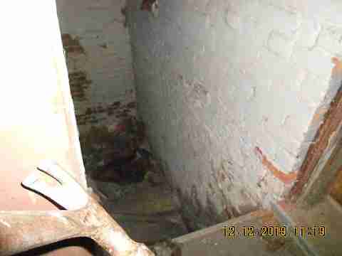 5529 Joy 2nd trip (35)_m.jpg